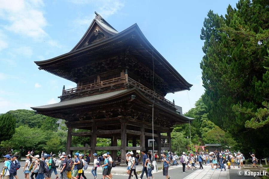 From Tokyo: Kamakura Full Day Tour with a Local Expert Guide - Tsurugaoka Hachimangu Shrine: More Than a Big Name