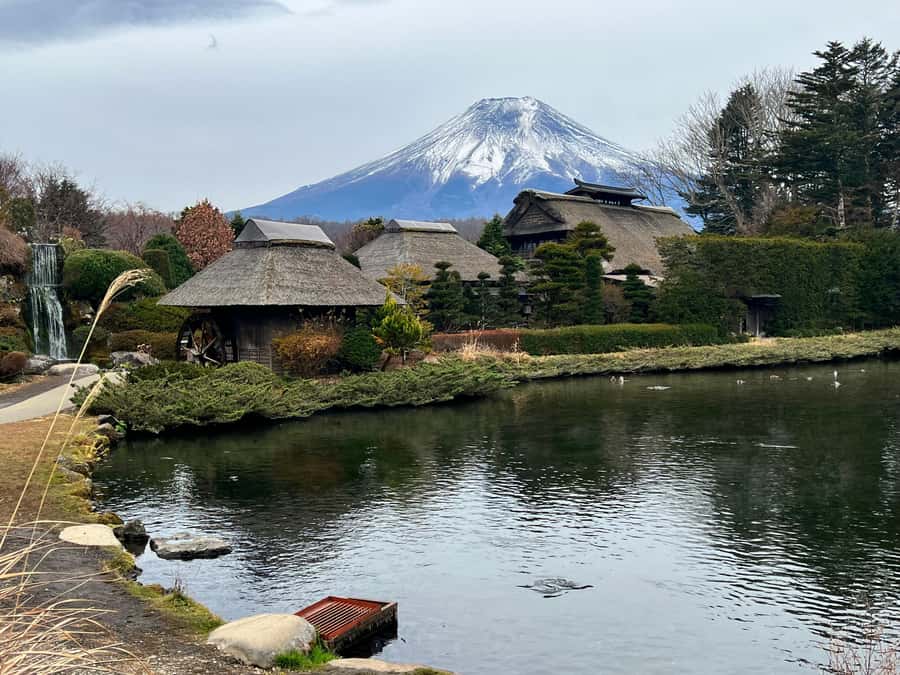 From Tokyo: Mount Fuji and Hakone Private Day Trip - Key things to know before you go