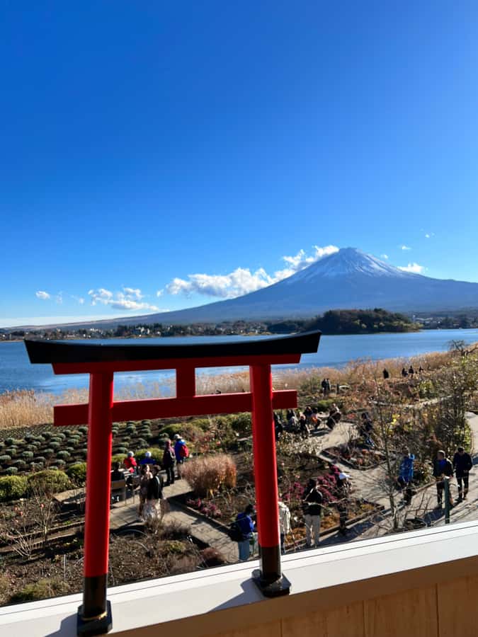 From Tokyo: Mount Fuji and Hakone Private Day Trip - Guides Who Actually Improve Your Day, Not Just Drive It