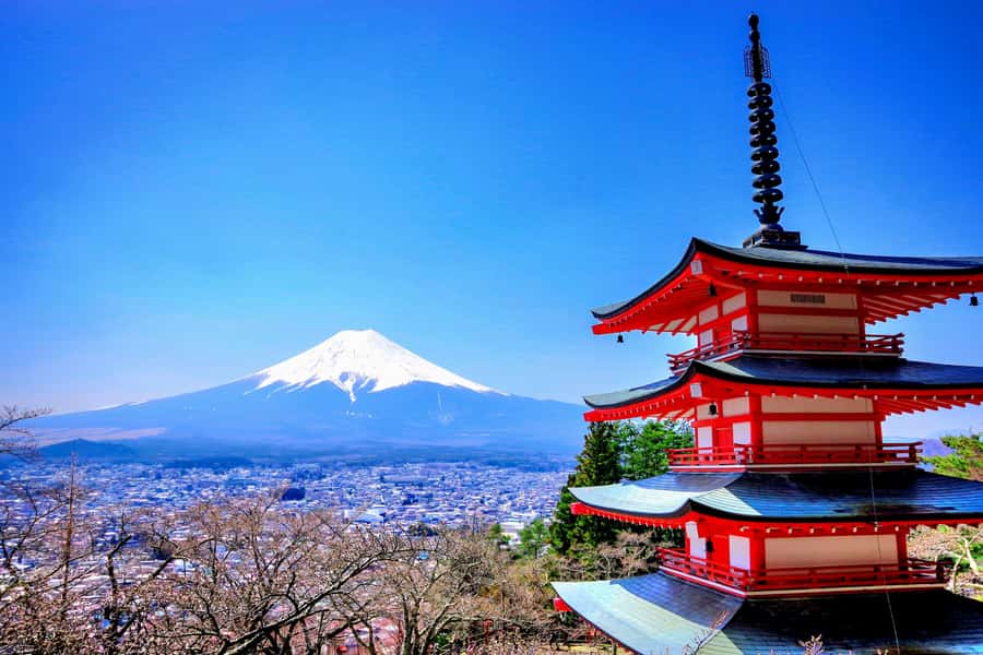 From Tokyo: Mount Fuji and Hakone Private Day Trip - Private Van Comfort and Real Value From Tokyo
