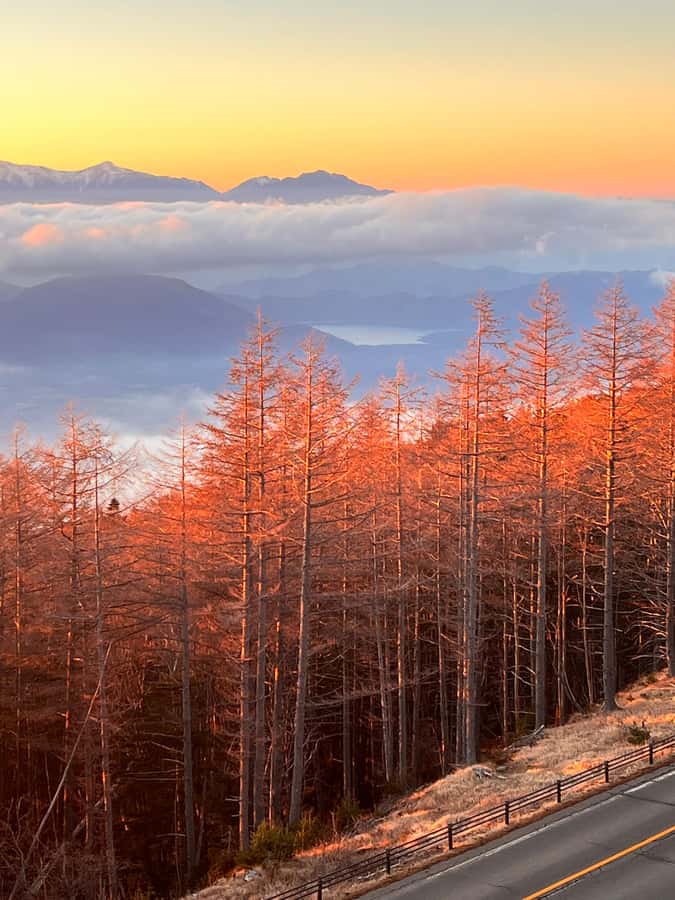 From Tokyo: Mount Fuji and Hakone Private Day Trip - Fujiyoshida’s Chureito Pagoda and Sengen Shrines
