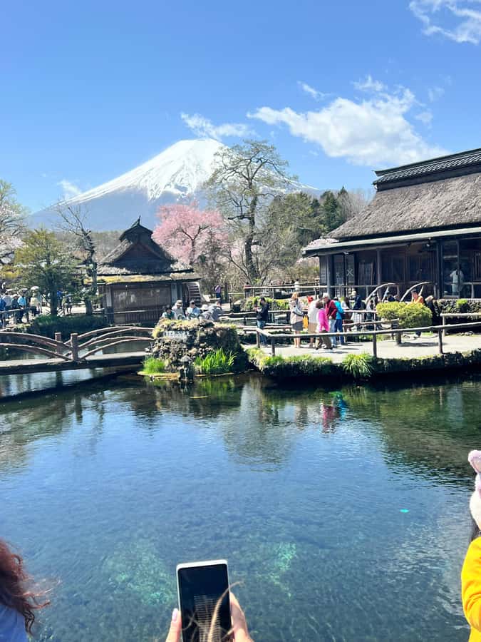 From Tokyo: Mount Fuji and Hakone Private Day Trip - Oshino Hakkai Village: Eight Ponds From Snowmelt
