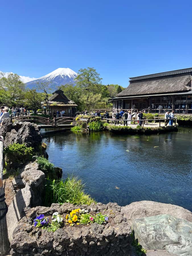From Tokyo: Mount Fuji and Hakone Private Day Trip - Hakone National Park: Owakudani Volcanic Valley and Hot Spring Territory