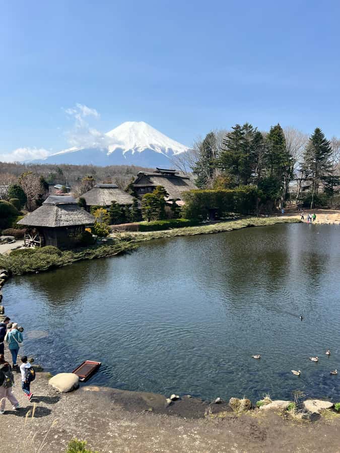 From Tokyo: Mount Fuji and Hakone Private Day Trip - Hakone Open Air Museum and Strollable Art With Fuji in the Backdrop