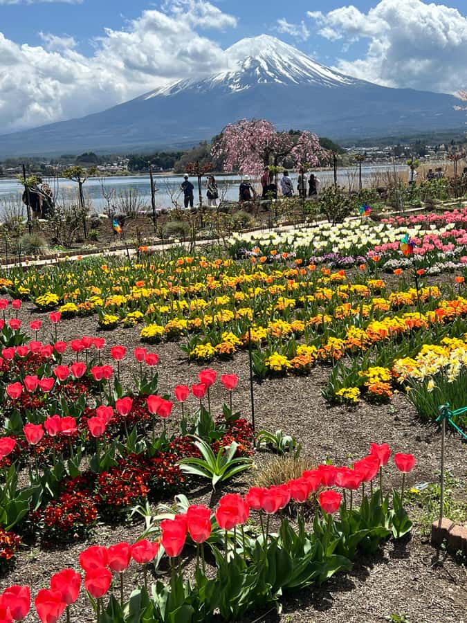 From Tokyo: Mount Fuji and Hakone Private Day Trip - Lake Ashi Pirate Cruise Optional, Plus Ropeway Optional Views