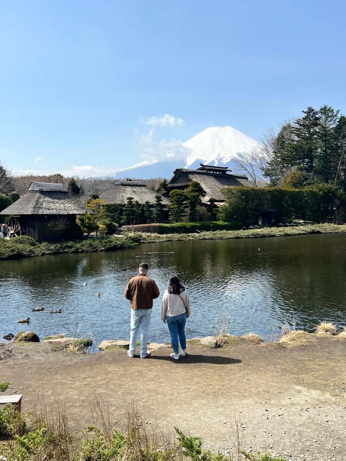 From Tokyo: Mount Fuji and Hakone Private Day Trip - Price and Logistics: What You Pay in the Real World