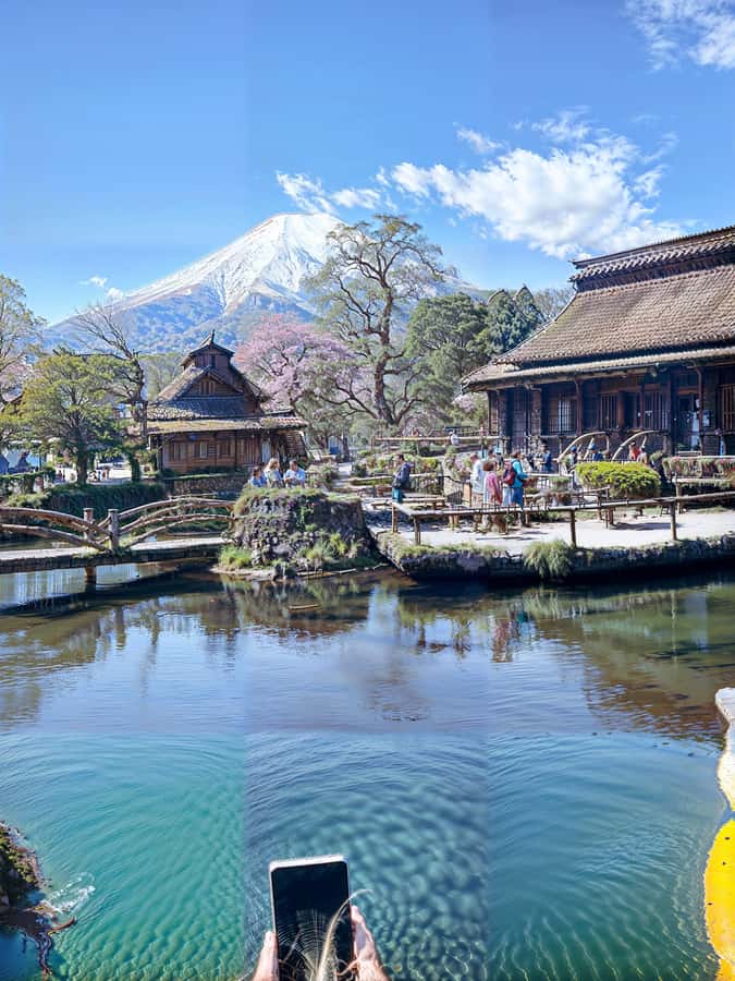 From Tokyo: Mount Fuji and Hakone Private Day Trip - Mount Fuji Views at Subaru 5th Station, Plus Komitake Shrine
