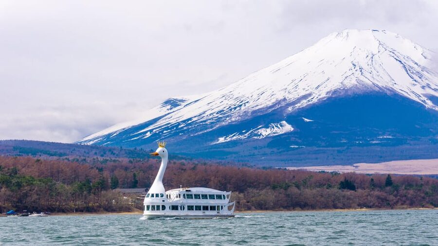 From Tokyo: Mount Fuji, Cruise and Sake Tour - Key Things That Make This Tour Worth Your Time