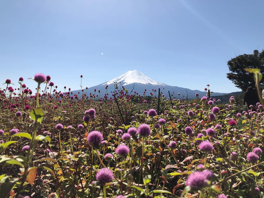 From Tokyo: Mount Fuji, Cruise and Sake Tour - Weather, Visibility, and When Things May Change