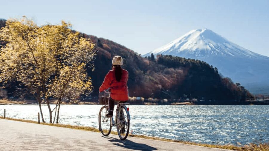 From Tokyo: Mount Fuji Full Customized Tour English Guide - Key Points I’d Use to Plan Your Day
