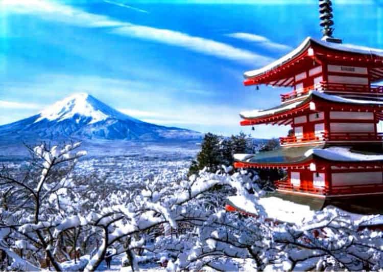 From Tokyo: Mount Fuji Full Customized Tour English Guide - Private Car, English Guide, and Real Flexibility