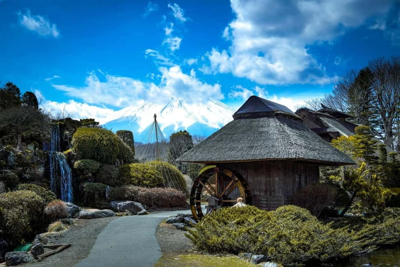 From Tokyo: Mount Fuji Full Day Customizable Private Tour - Lake Kawaguchiko and Oishi Park: Fuji in the background of real strolls