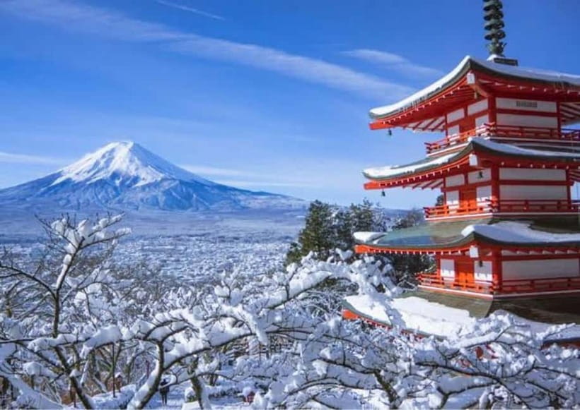 From Tokyo: Mount Fuji Full Day Customizable Private Tour - Optional cultural stops in the Fuji area (for when you want more than views)