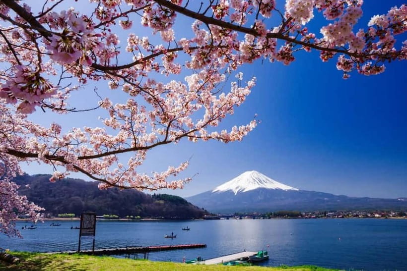 From Tokyo: Mount Fuji Full Day Private Customizable Tour - Key highlights worth caring about