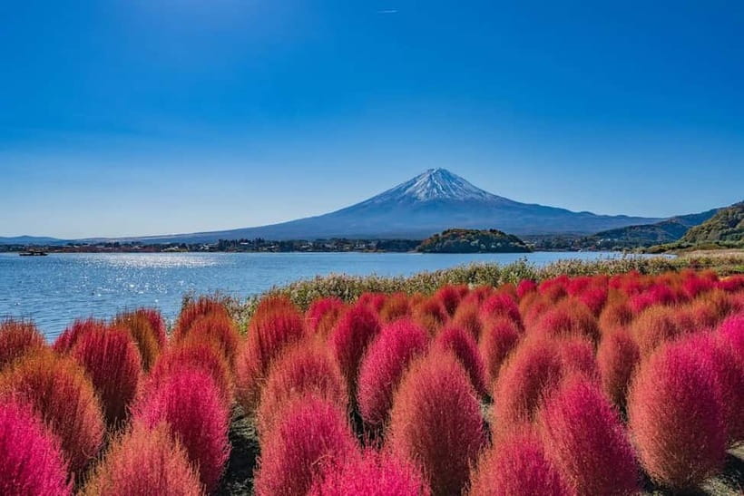From Tokyo: Mount Fuji Full Day Private Customizable Tour - Timing that actually pays off, start early for Mt Fuji views