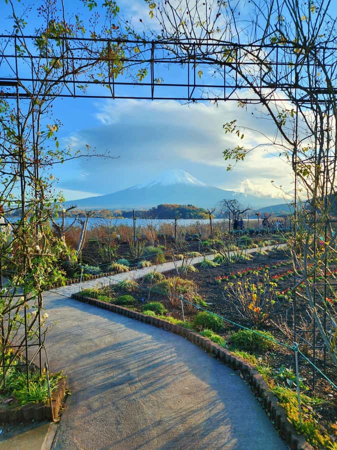 From Tokyo: Mount Fuji Full-Day Private Tour (Customizable) - What your guide is really doing for you