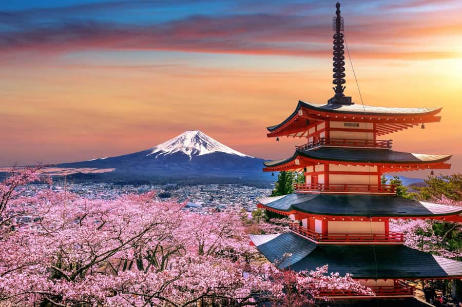 From Tokyo: Mount Fuji Full-Day Private Tour (Customizable) - From Tokyo to Fuji, without the stress