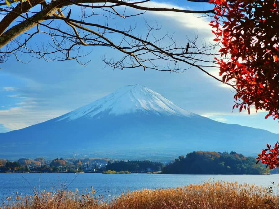 From Tokyo: Mount Fuji Full-Day Private Tour (Customizable) - The day’s flow: Lake Kawaguchiko first for Fuji reflections