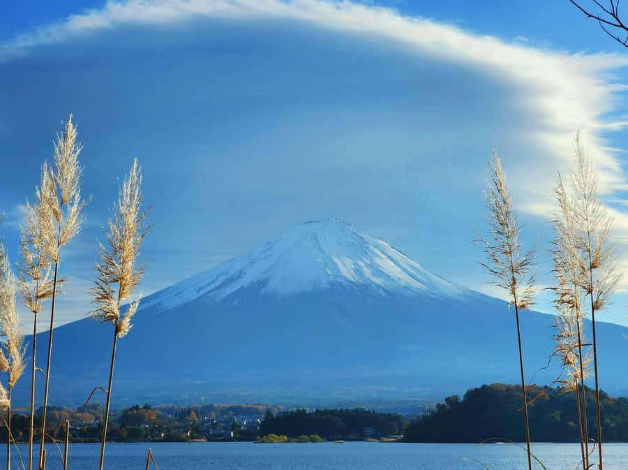 From Tokyo: Mount Fuji Full-Day Private Tour (Customizable) - Arakurayama Sengen Park and the Chureito Pagoda photo moment