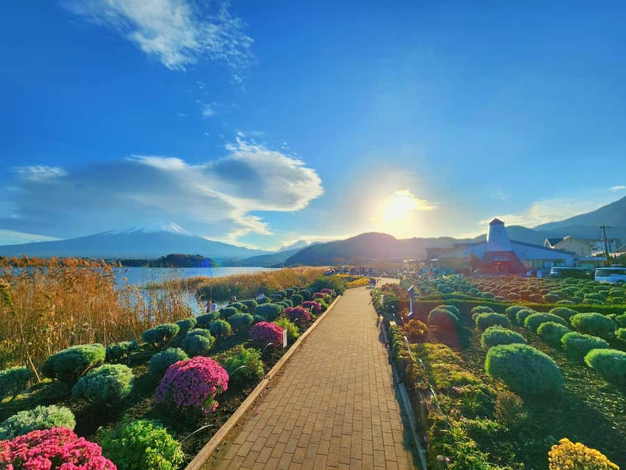 From Tokyo: Mount Fuji Full-Day Private Tour (Customizable) - Oshino Hakkai: springs, ponds, and thatched-roof charm