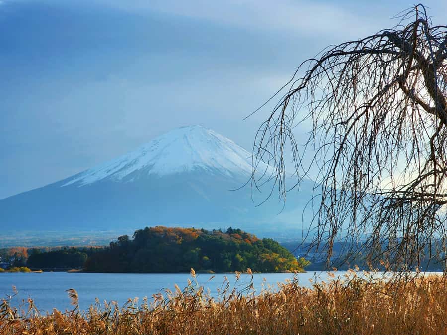 From Tokyo: Mount Fuji Full-Day Private Tour (Customizable) - Customization you can feel: relaxing or packed, your call