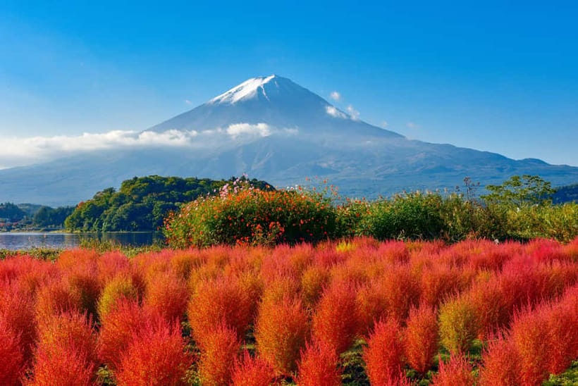 From Tokyo: Mount Fuji Full-Day Sightseeing Trip - The Fuji route that actually fits a day from Tokyo