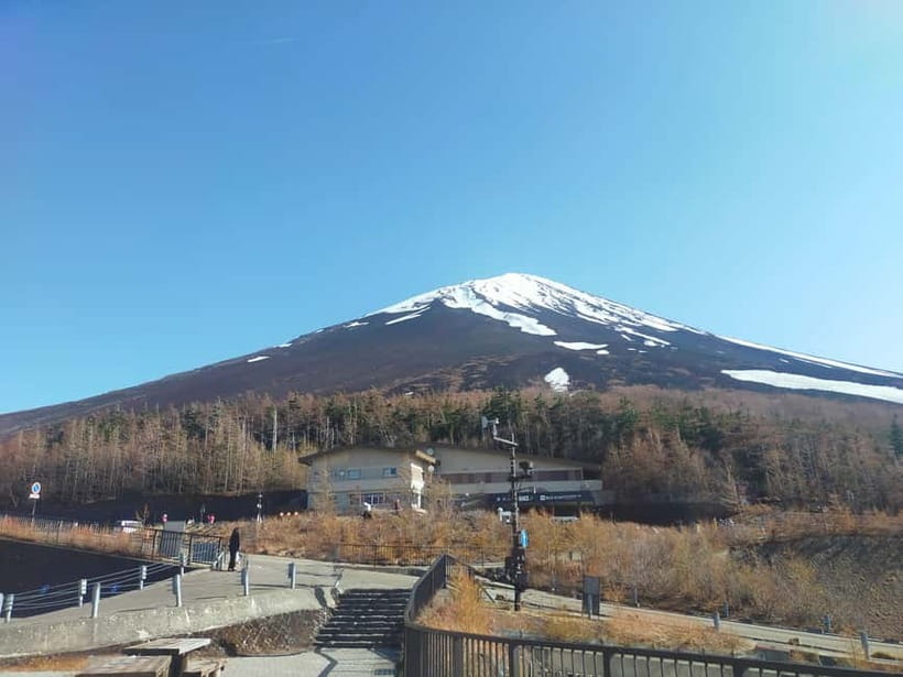 From Tokyo: Mount Fuji Full-Day Sightseeing Trip - Mt. Fuji 5th Station, the 2,300 m viewpoint with shops and cold air potential