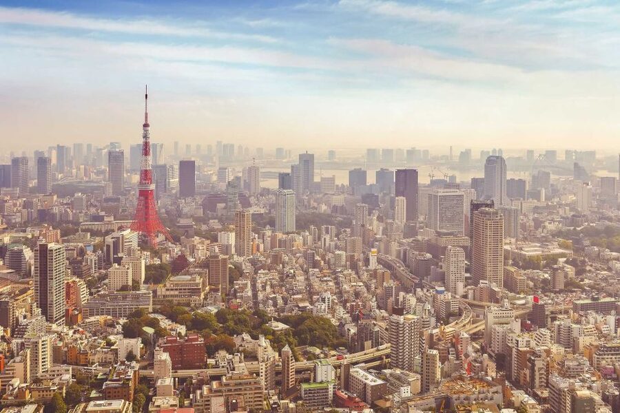 From Tokyo: Mount Fuji Private Day Tour - Tokyo Pickup to the Fuji Area: Comfort Before the Big Views