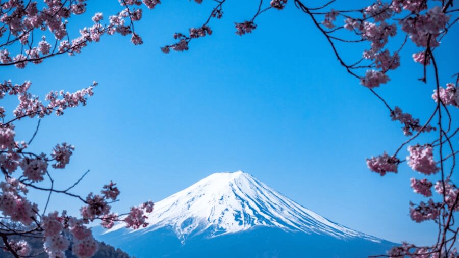 From Tokyo: Mount Fuji Private Day Tour With English Guide - How Customization Works When Fuji Weather Is Unpredictable