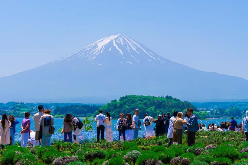From Tokyo: Mt Fuji, Arakurayama and Kawaguchi Lake Day Trip - Oshino Hakkai: 8 springs, calm water, and real snack chances