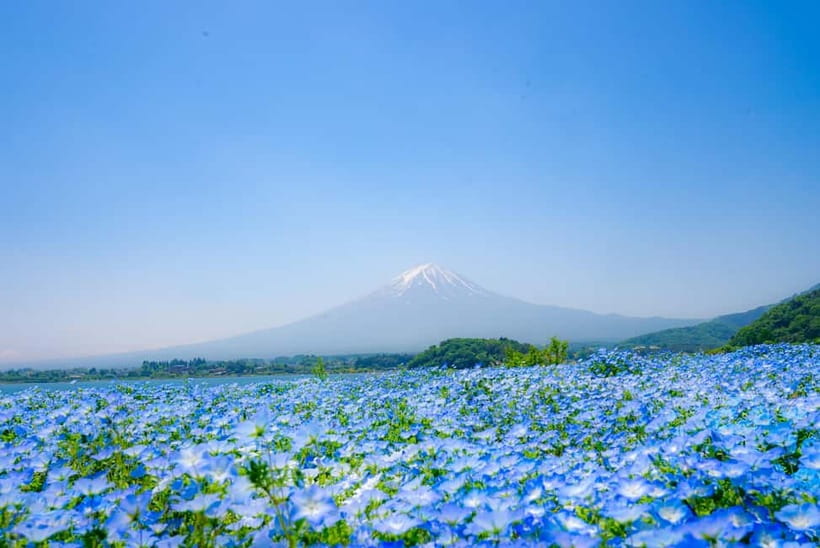 From Tokyo: Mt Fuji, Arakurayama and Kawaguchi Lake Day Trip - Timing, weather, and how to protect your Tokyo evening