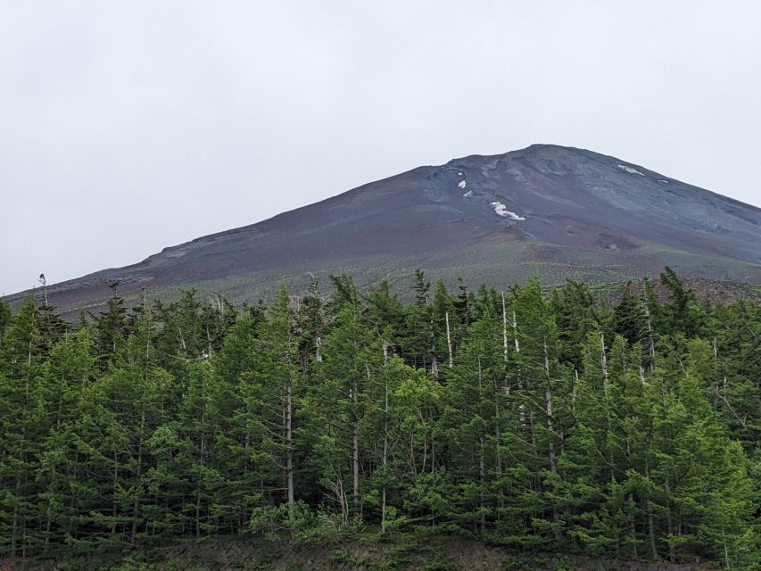 From Tokyo: Mt. Fuji & Hakone Tour w/ Return by Bullet Train - Price and value: why $117 can make sense for an 11-hour day