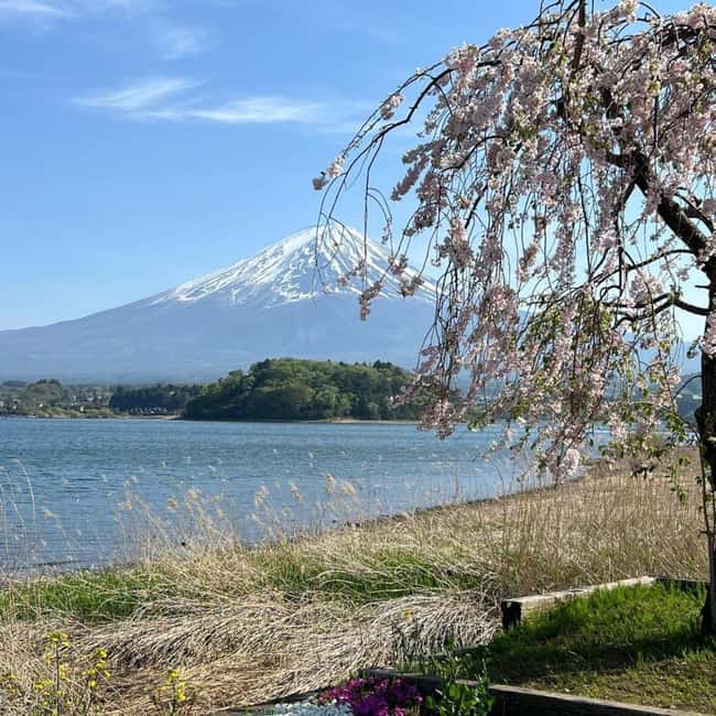 From Tokyo: Mt Fuji Private Day Tour In Luxury Land Cruiser - Key highlights that matter on the ground