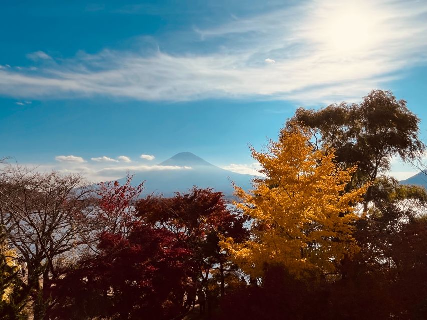 From Tokyo: Mt.Fuji, Tea Ceremony & Outlet Shopping Day Tour - Mt. Fuji in one day, without Tokyo transit headaches