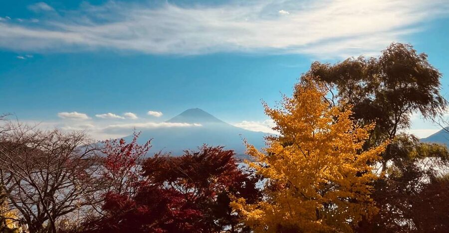 From Tokyo: Mt.Fuji, Tea Ceremony & Outlet Shopping Day Tour - Where you meet your guide in Shinjuku Nishiguchi