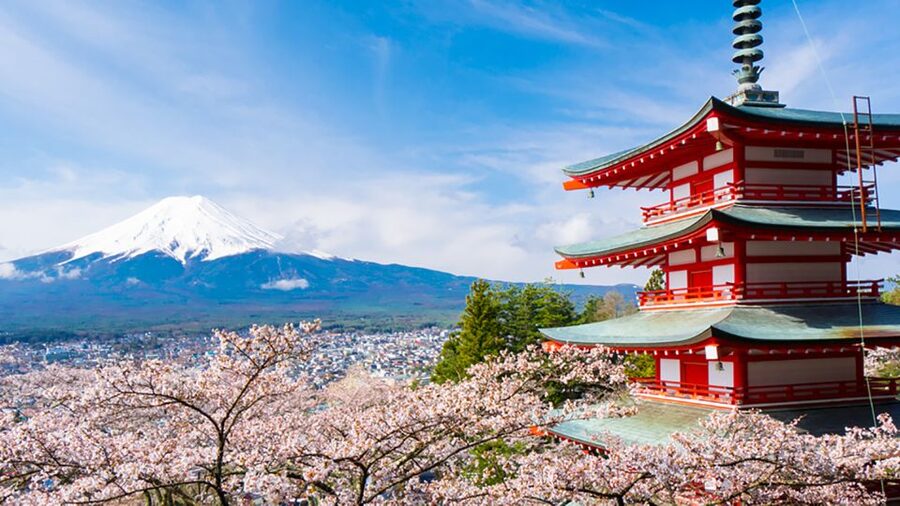 From Tokyo: Mt.Fuji, Tea Ceremony & Outlet Shopping Day Tour - Guide quality in real life: languages and on-the-ground help