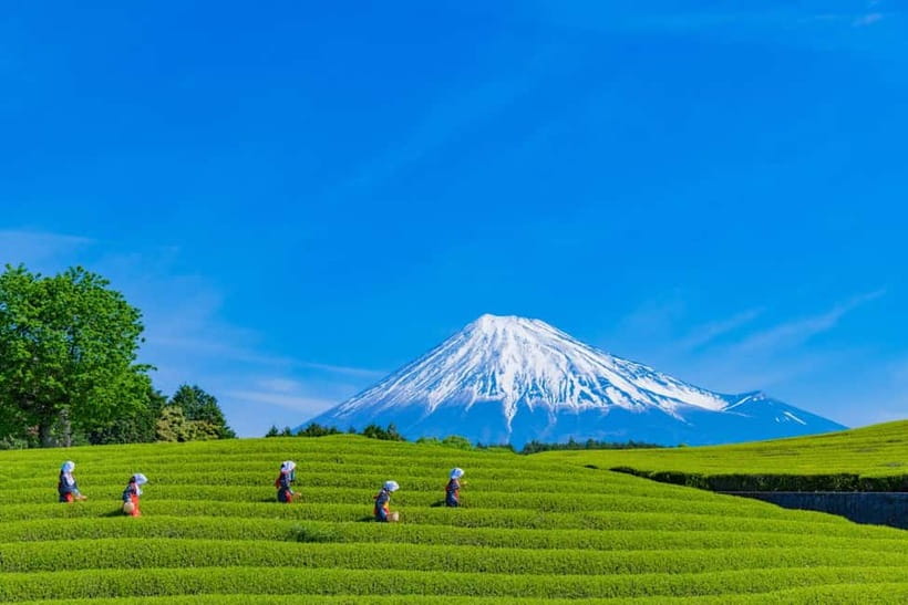 From Tokyo: Must-Visit Mount Fuji Highlight Full-Day Tour - Shimoyoshida Honcho Street and Lawson breaks for real life