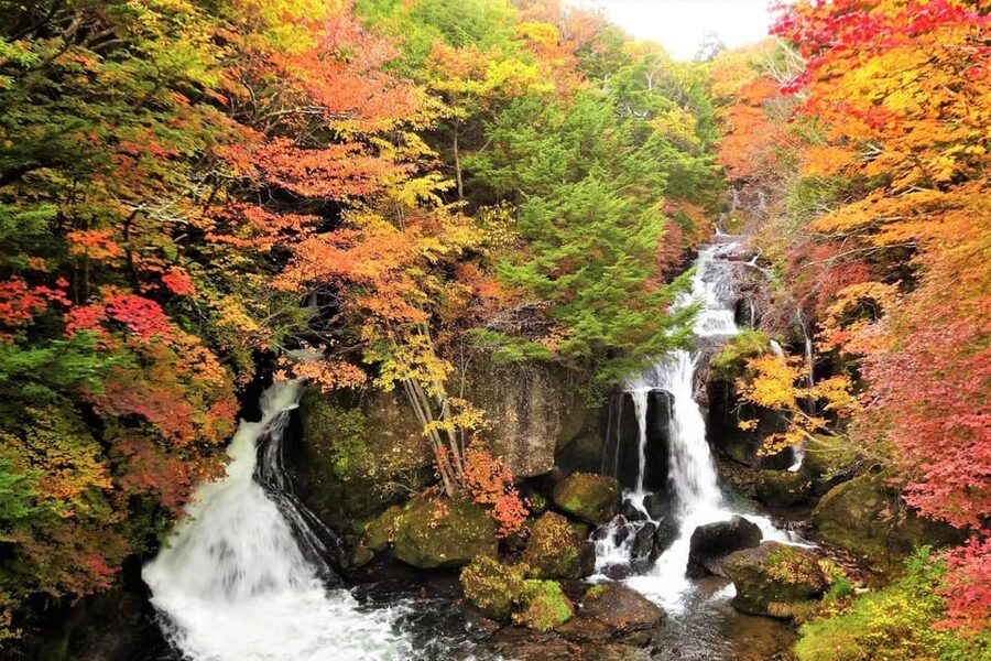 From Tokyo: Nikko World Heritage Site Private Full-Day Trip - Key highlights worth choosing this trip for