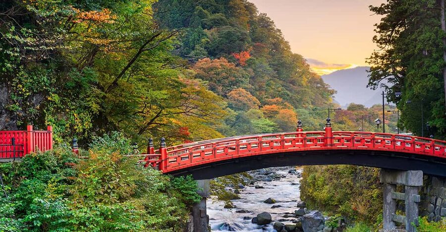 From Tokyo: Nikko World Heritage Site Private Full-Day Trip - Nikkō National Park photo stop: a quick orientation that pays off later