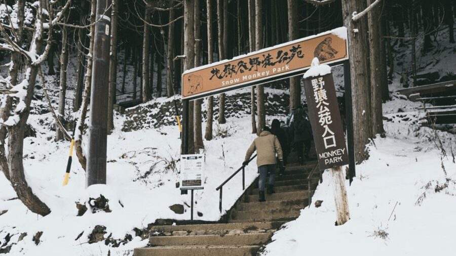 From Tokyo: Private Tour Snow Monkey Park & Zenko-ji Temple - Obuse street walk, a calmer finish after the snow and temples