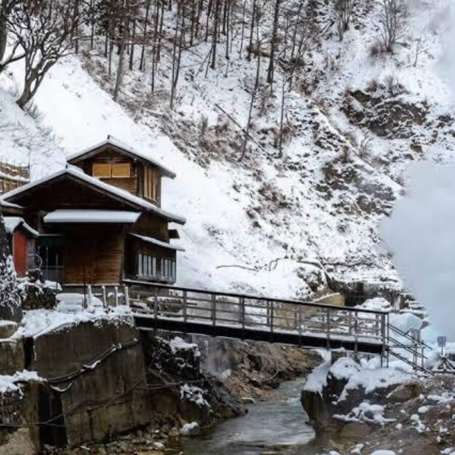 From Tokyo: Private Tour Snow Monkey Park & Zenko-ji Temple - Price and logistics, is $445 for up to 6 really good value