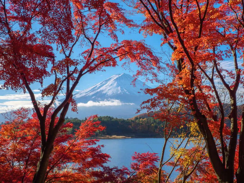 From Tokyo: Private Tour to Fuji/Hakone - Onsen, Art, Nature - Lake Ashi and Hakone Shrine: slow sightseeing that actually feels restful