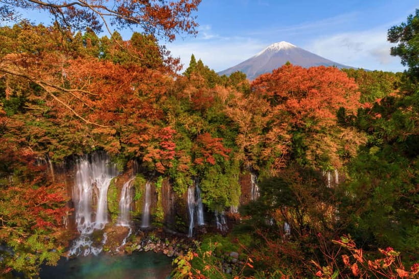 From Tokyo: Private Tour to Fuji/Hakone - Onsen, Art, Nature - Tenzan Onsen lunch and soaking time: your real payoff