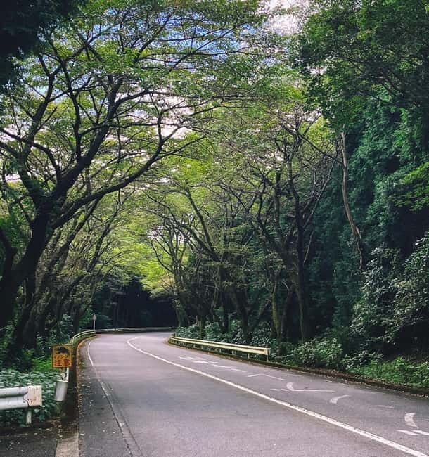 From Tokyo: Private Tour to Fuji/Hakone - Onsen, Art, Nature - Pickup, van comfort, and how the ride sets the tone
