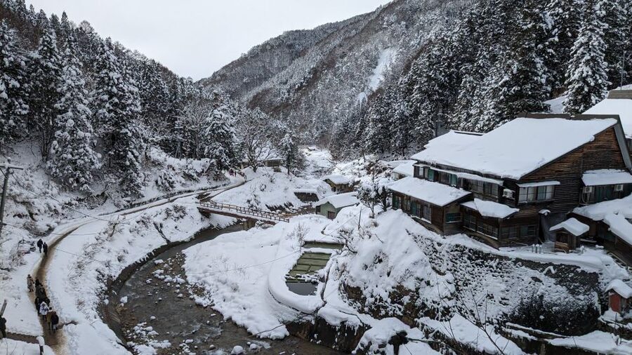 From Tokyo: Snow Monkey 1 Day Tour with Beef Sukiyaki Lunch - Who this tour suits best, and who should skip it