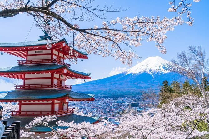 From Tokyo: Top 5 Scenic Spots of Mount Fuji Full-Day Tour - Key things to know before you go