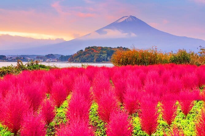 From Tokyo: Top 5 Scenic Spots of Mount Fuji Full-Day Tour - Stop 1, Arakurayama Sengen Park: the pagoda shot you came for