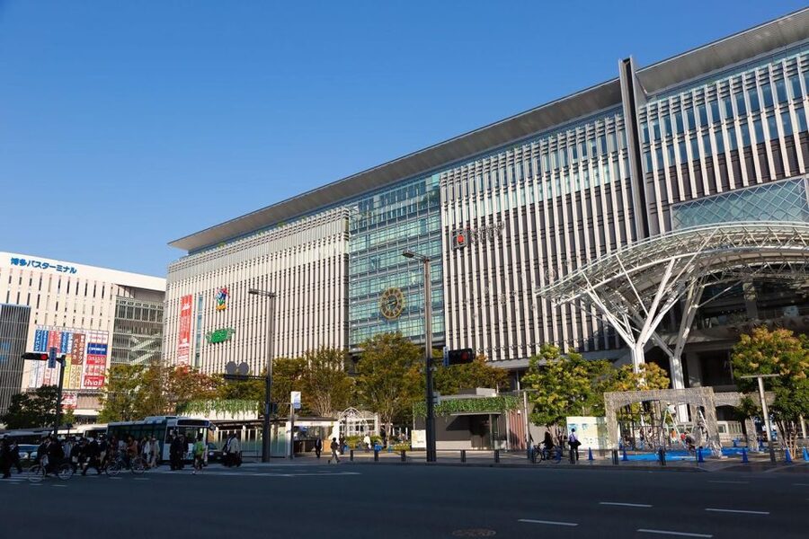 Fukuoka: Customized Private Tour - Custom planning: tell them what you want, then let it happen