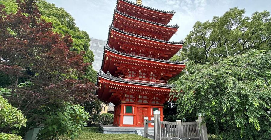 Fukuoka: Customized Private Tour - Meeting point near Mister Donut, then getting your bearings fast