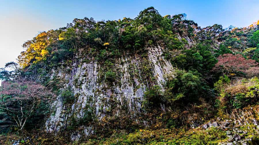 Fukuoka: Takachiho Gorge & Scenic Railway One Day Tour - Price and Value: What You Pay for at $44, and What Costs Extra
